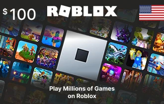 Roblox USA 100$